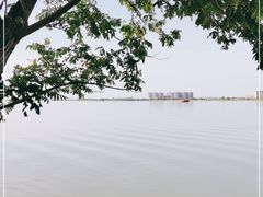-瑶湖郊野森林公园