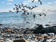 -银沙滩浴场