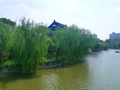 -南汇桃花村