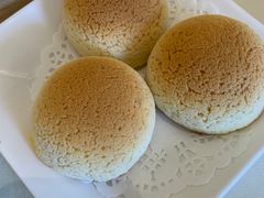 雪顶雄峰-利苑酒家(金宝店)