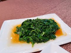 -东方明珠老上海8号餐厅