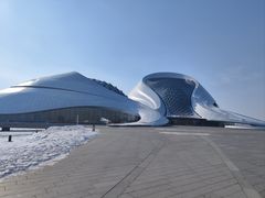 -哈尔滨大剧院