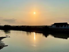 -大湾区中央湿地公园