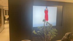 -付军剪艺JF ProSalon
