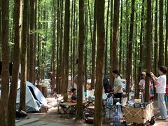 -山王坪喀斯特国家生态公园