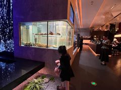 -海派悦庭·海胆烧麦·新融合菜(凯德广场店)