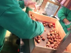 -栗子来了(正弘城店)
