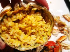 -新花城蟹粉馆(乌鲁木齐店)