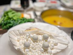 -汤城·料青山