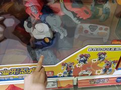 -TOYSRUS玩具反斗城(武汉荟聚中心店)