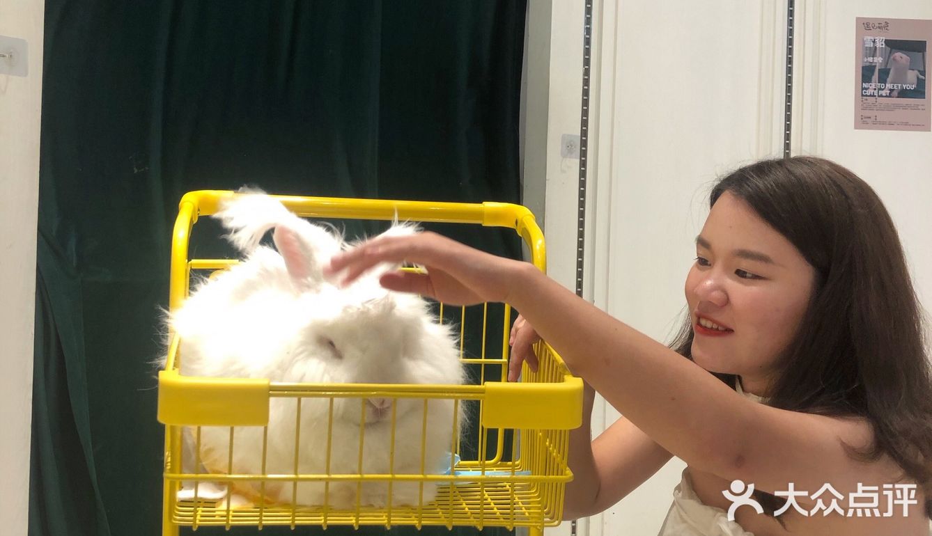 毛孩子控的福音来了