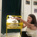 毛孩子控的福音来了