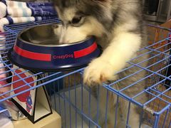 -爱侣宠医·鹦鹉专科·小型哺乳类·异宠专科(灵石路店)