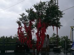 -洛阳白云山景区