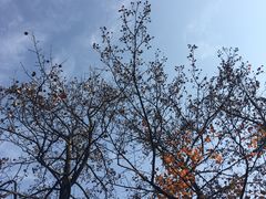 -杭州西湖风景名胜区-满觉陇四眼井