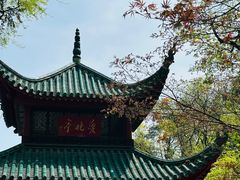 -岳麓山风景名胜区