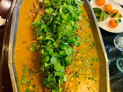 -食家鸽园