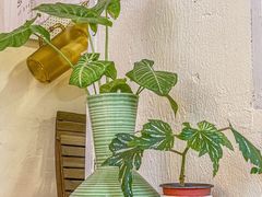 -绿小院(荔湾店)