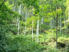 -藏龙百瀑风景区