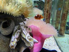 -太平洋海底世界