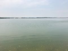 -丁香湖公园