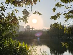 -四海公园(南山区)