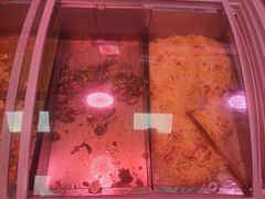 -兴和园拉面(泉涌街鲜鲜店)