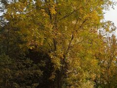 -天鹅湖生态旅游风景区