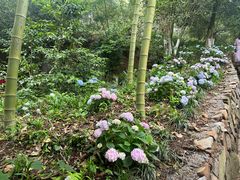 -莫干山风景区