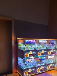 -奈尔宝·儿童乐园·亲子餐厅(星河湾店)