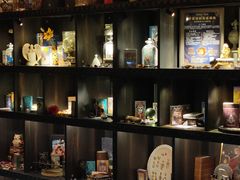 -雪灵魔法世界SHELLY’S TAROT(大良桂畔里店)