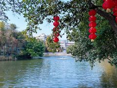 -荔湾湖公园