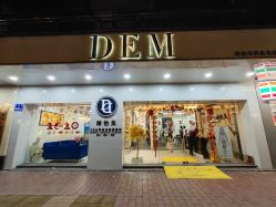 -DEM缔怡美科技美容