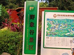 -野象谷景区