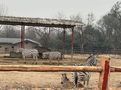 -西安秦岭野生动物园