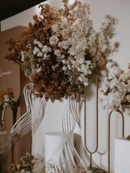 -明典婚礼策划·婚车租赁·婚纱摄影