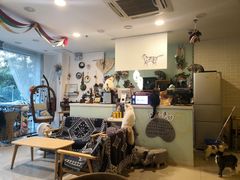 大堂-平行世界·猫咖(首经贸店)