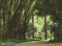 -深圳国际园林花卉博览园