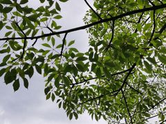 -龙江公园