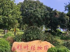 -东莞植物园