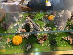 -初拾·花里餐厅(钜城华亿店)