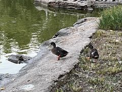 -中家鑫园温泉酒店鑫悦汤泉