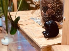 -Rabbit Cafe私房西餐甜点咖啡(栖霞路店)