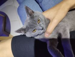 -BBVR团建聚会体验馆·亲子DIY手工