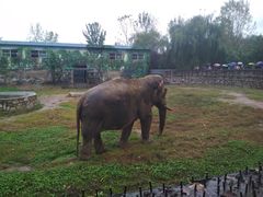 -西安秦岭野生动物园