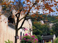 -篁岭景区