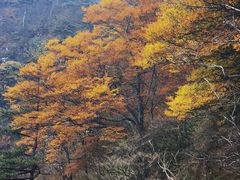 -明堂山风景区