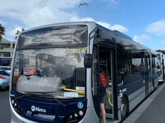 -Takapuna Beach Cafe