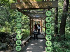 -大岭沟猕猴桃谷风景区