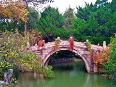 -上海醉白池公园